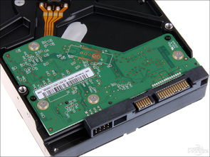 专业监控盘WD10EURX绿盘 硬件维护的性价比之选