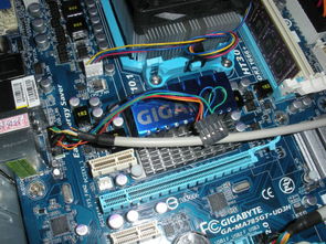 数字时代的烦恼 从论坛求助看硬件维护的困境与希望